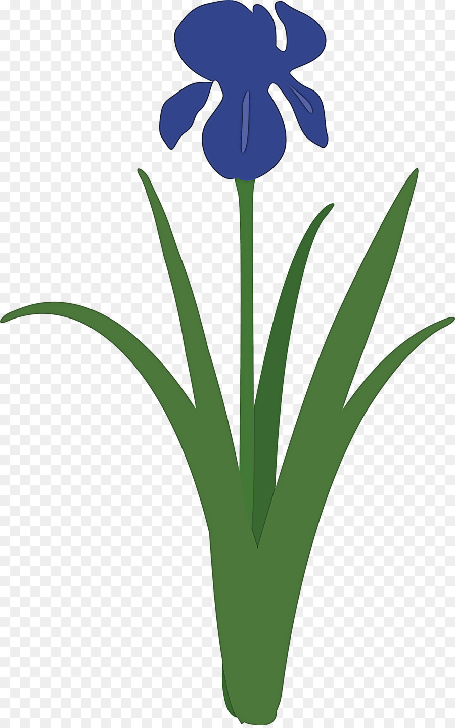 Fleur D'iris，Violet PNG