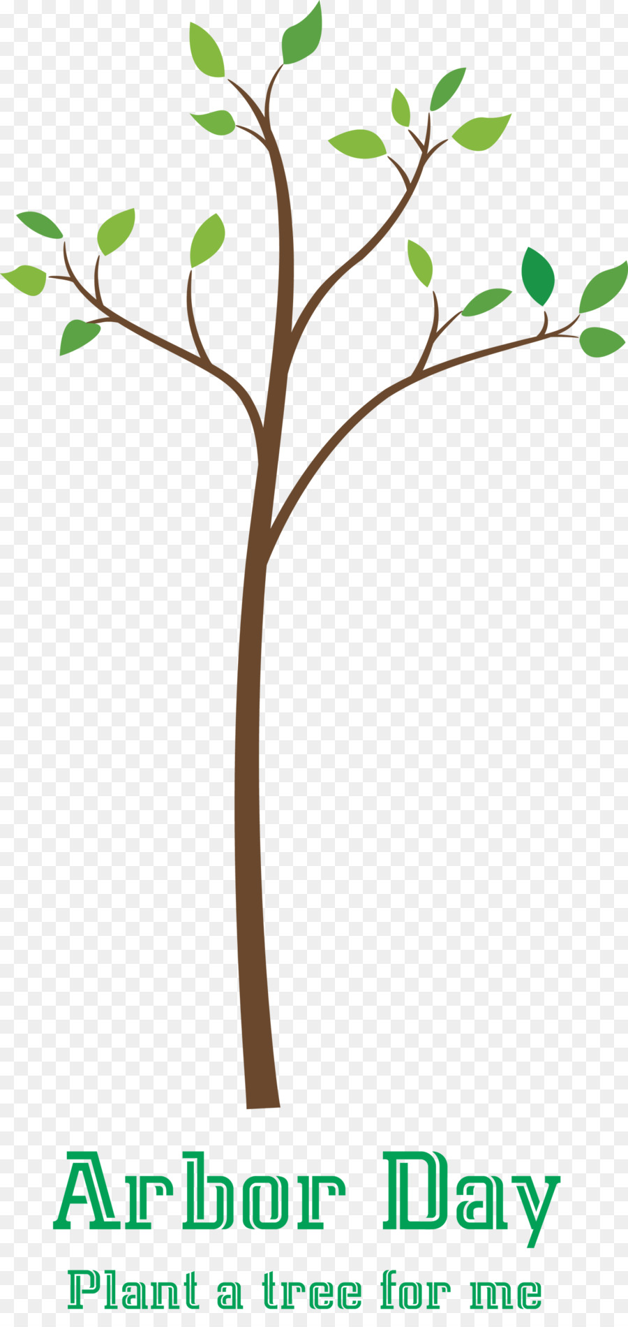 Branche，Arbre PNG