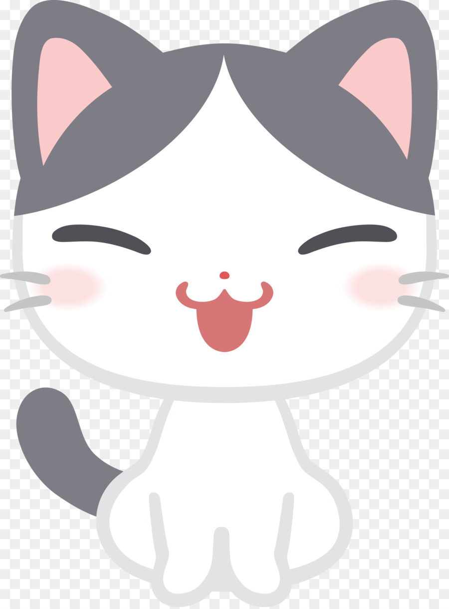 Chat，Animal PNG