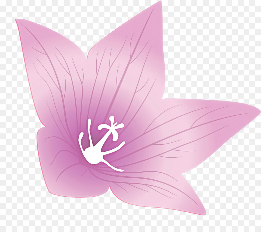 Les Papillons，Fleur PNG