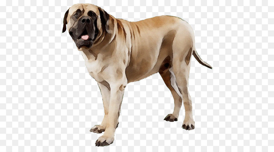 Chien，Animal De Compagnie PNG