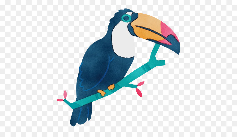 Toucan，Oiseau PNG