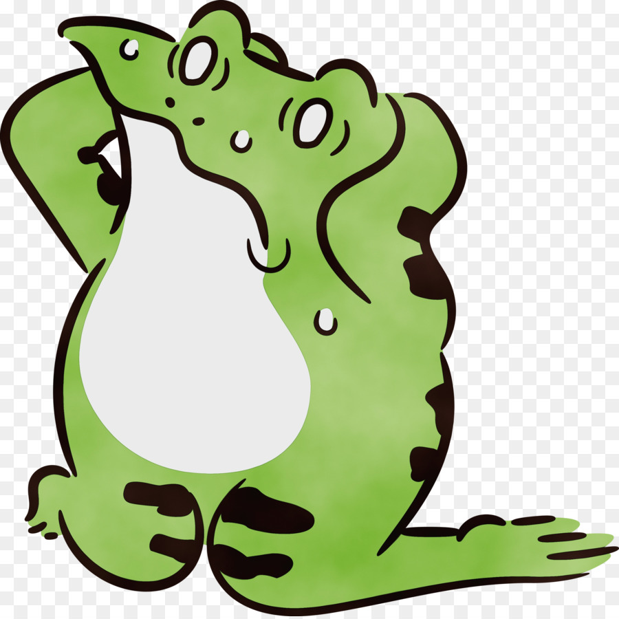 Vrai Grenouille，Dessin Animé PNG