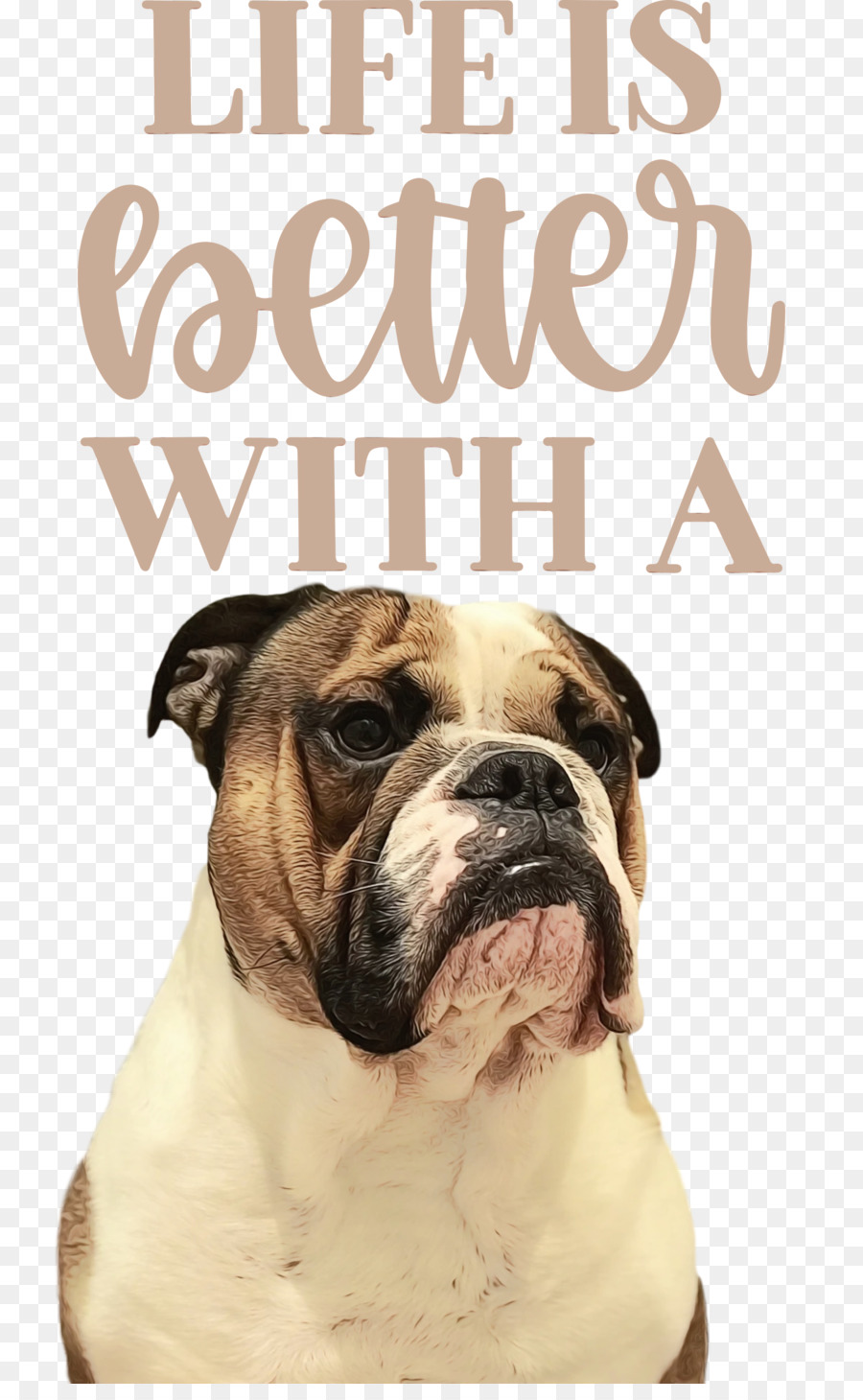 Bouledogue，Vieux Bouledogue Anglais PNG