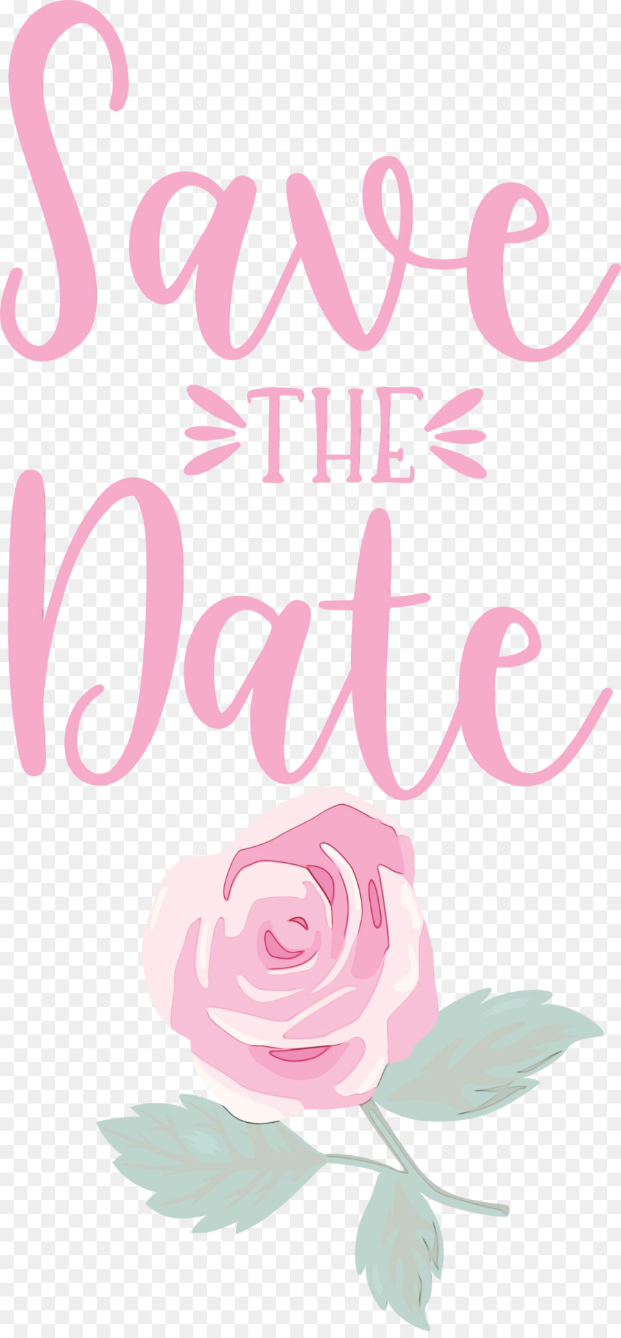 Design Floral，Les Roses De Jardin PNG