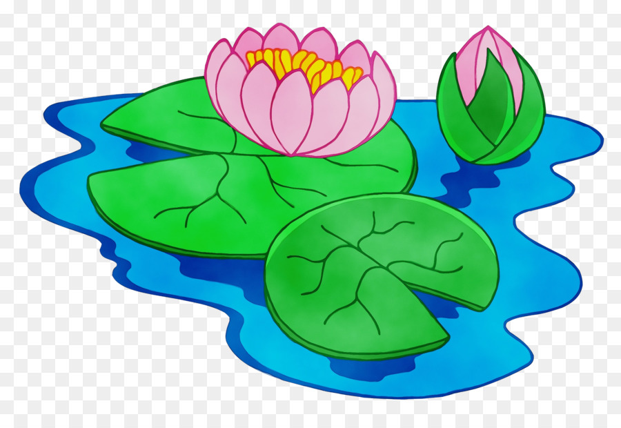 Fleur De Lotus，Eau PNG