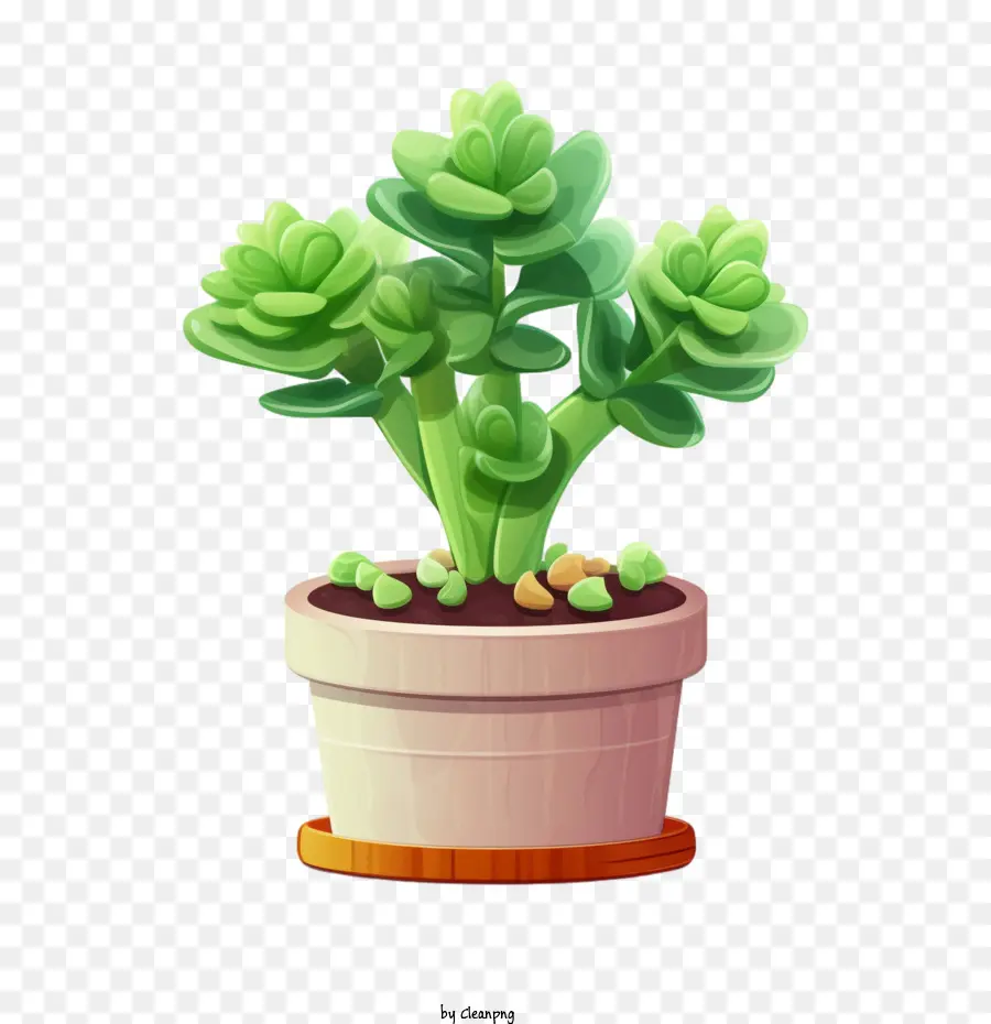 Joubarbe Des Arbres Succulente，Succulent PNG