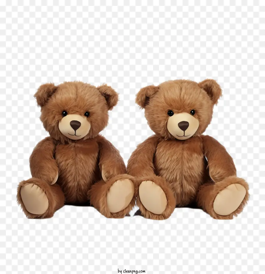 Journée De L'ours En Peluche，Ours En Peluche PNG