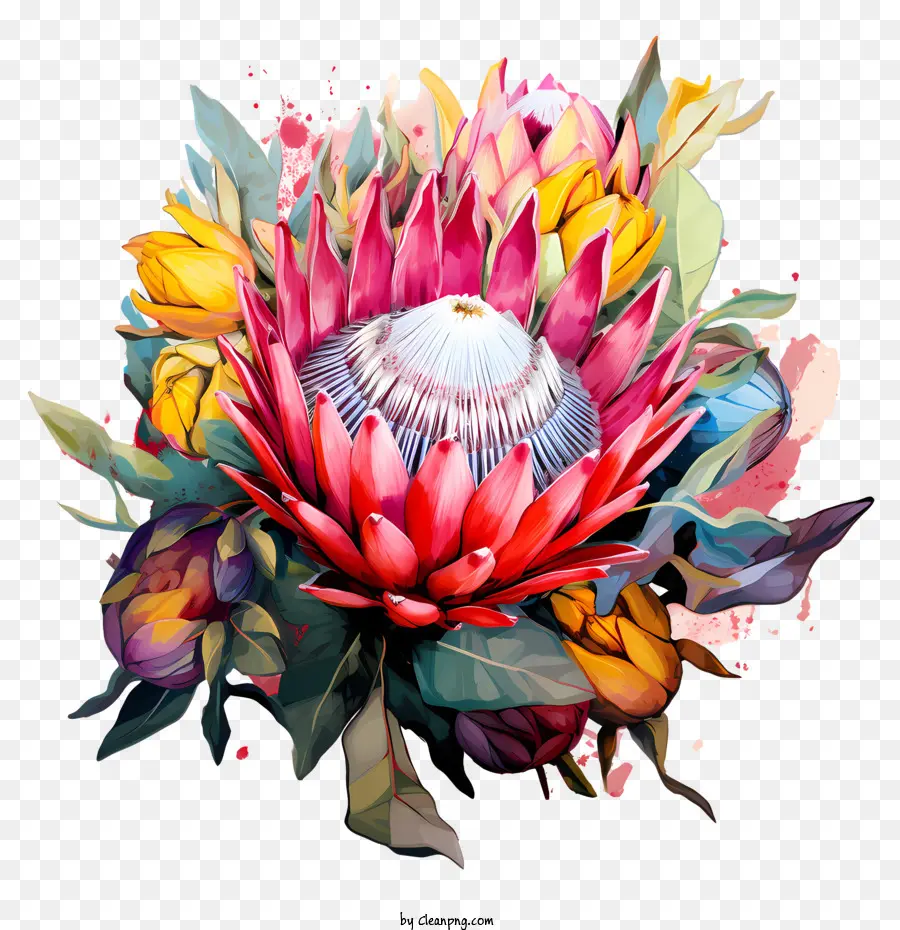 Fleur De Protéa，Fleurs Colorées PNG