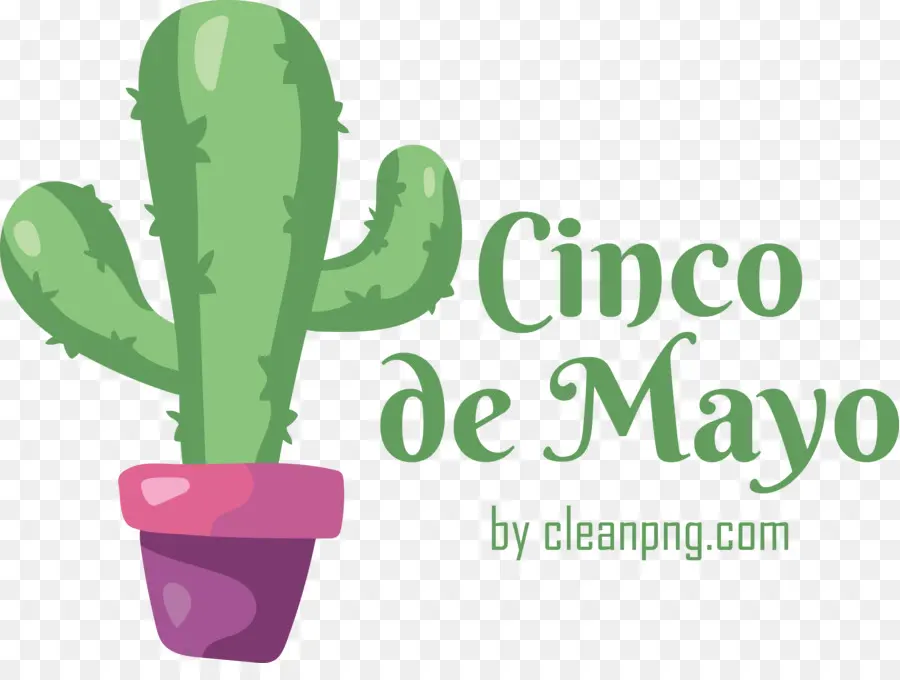 Cinco De Mayo，Cinquième Mai PNG