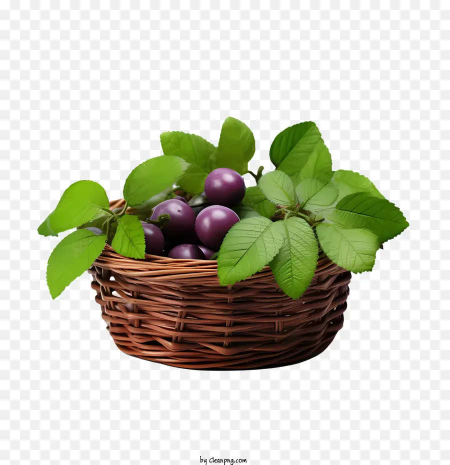 Prune，Panier PNG