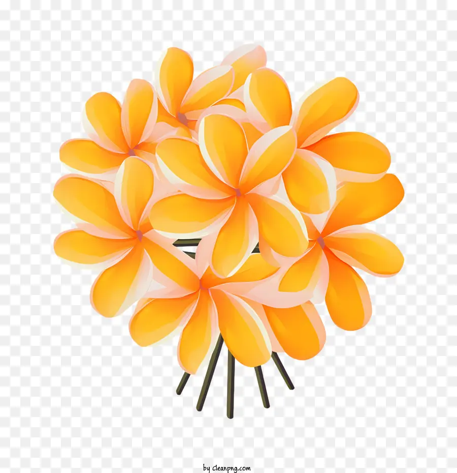 Fleur De Frangipanier，Fleurs Oranges PNG