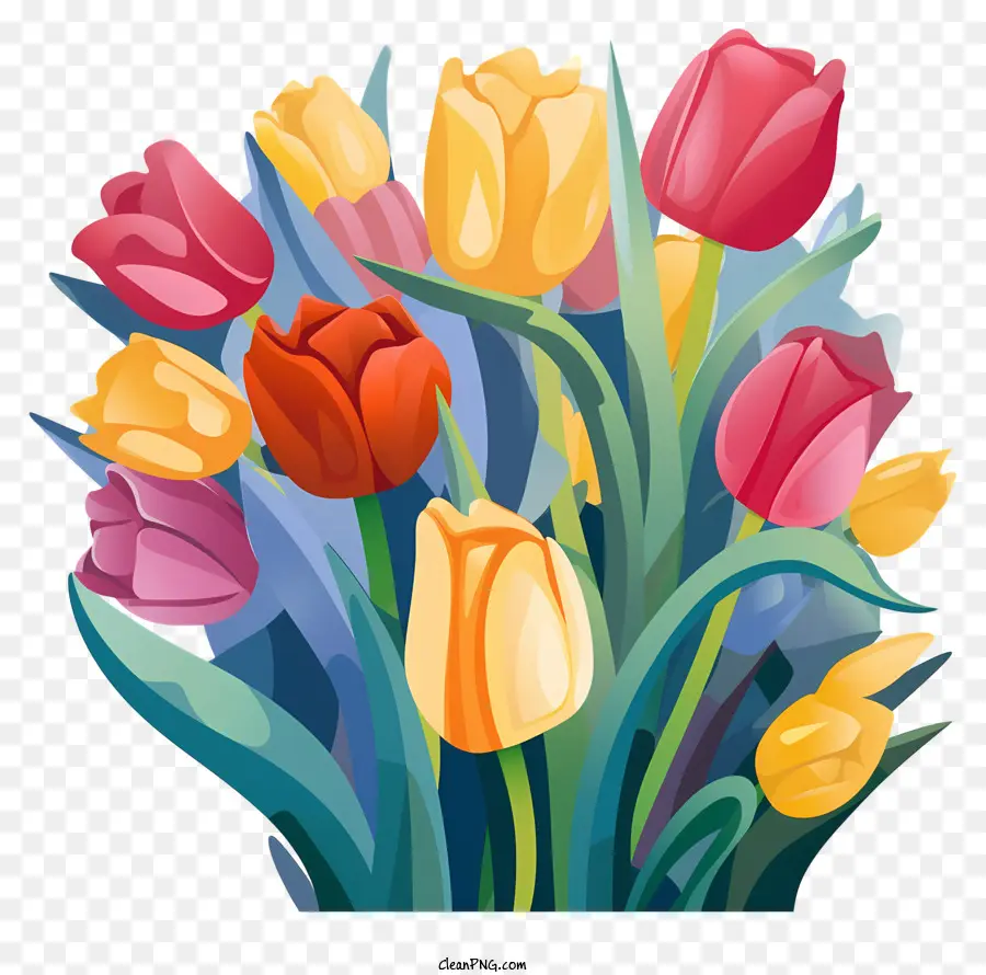 Tulipes Colorées，Tulipes PNG