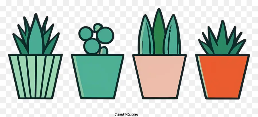 Plantes En Pot，Plantes Succulentes PNG