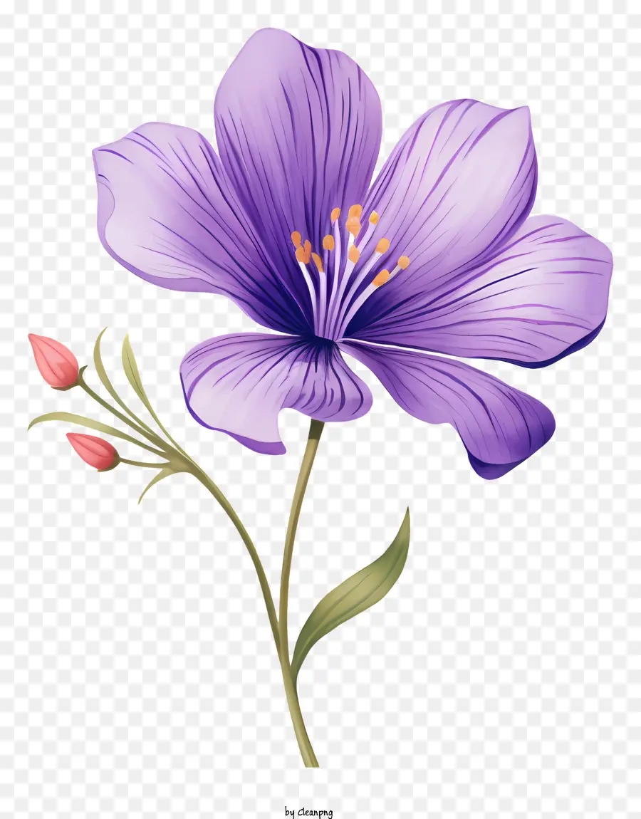 Fleur Violette，Fleurir PNG