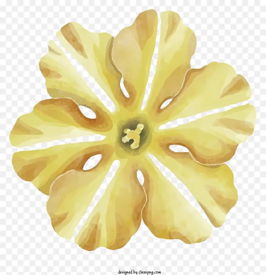 Grande Fleur Jaune，Fleur Jaune PNG