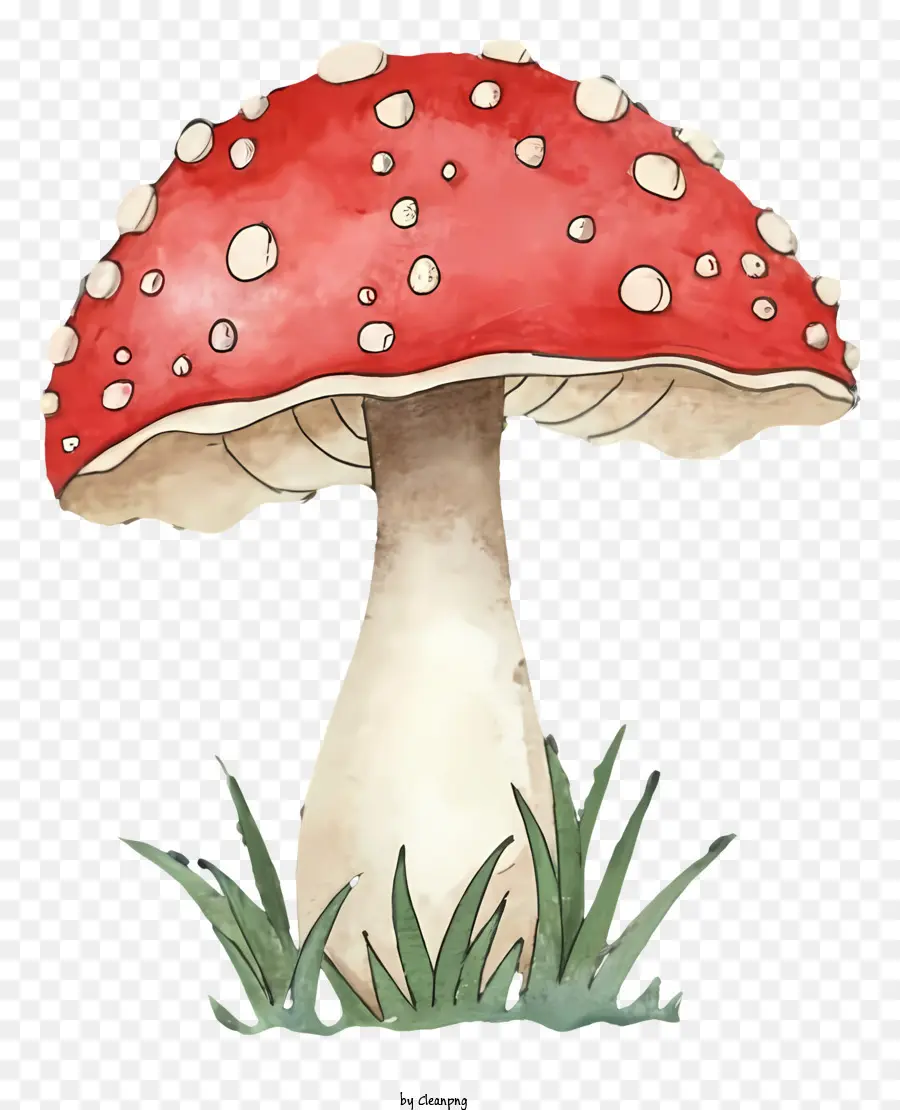 Champignon，Rouge PNG