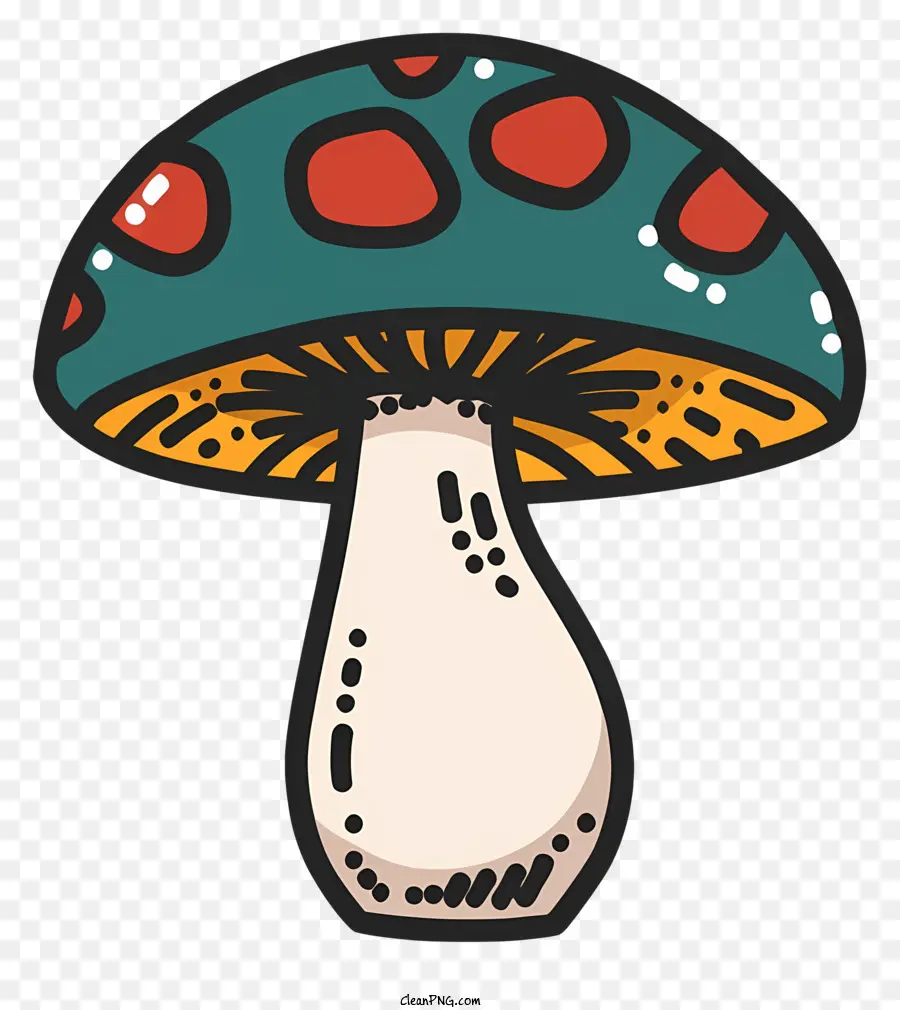 Champignon，Champignon Coloré PNG