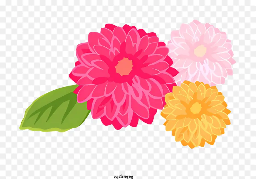 Marguerites Roses Et Jaunes，Fleurs PNG