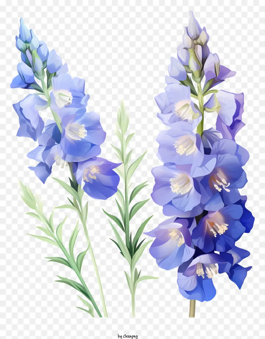 Illustration Vectorielle Plate Minimaliste，Fleurs Violettes PNG