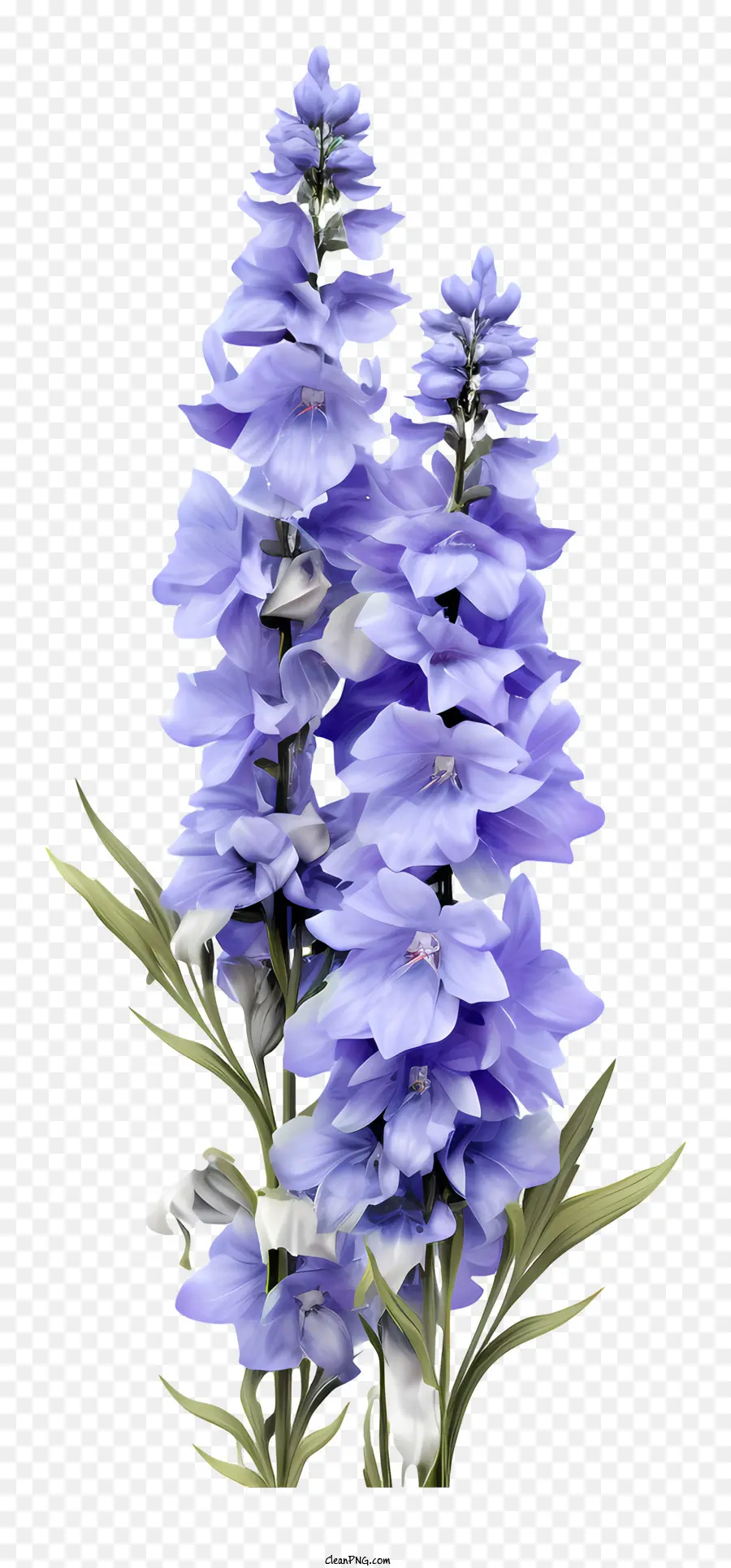 Fleur De Delphinium 3d Réaliste，Fleur Violette PNG