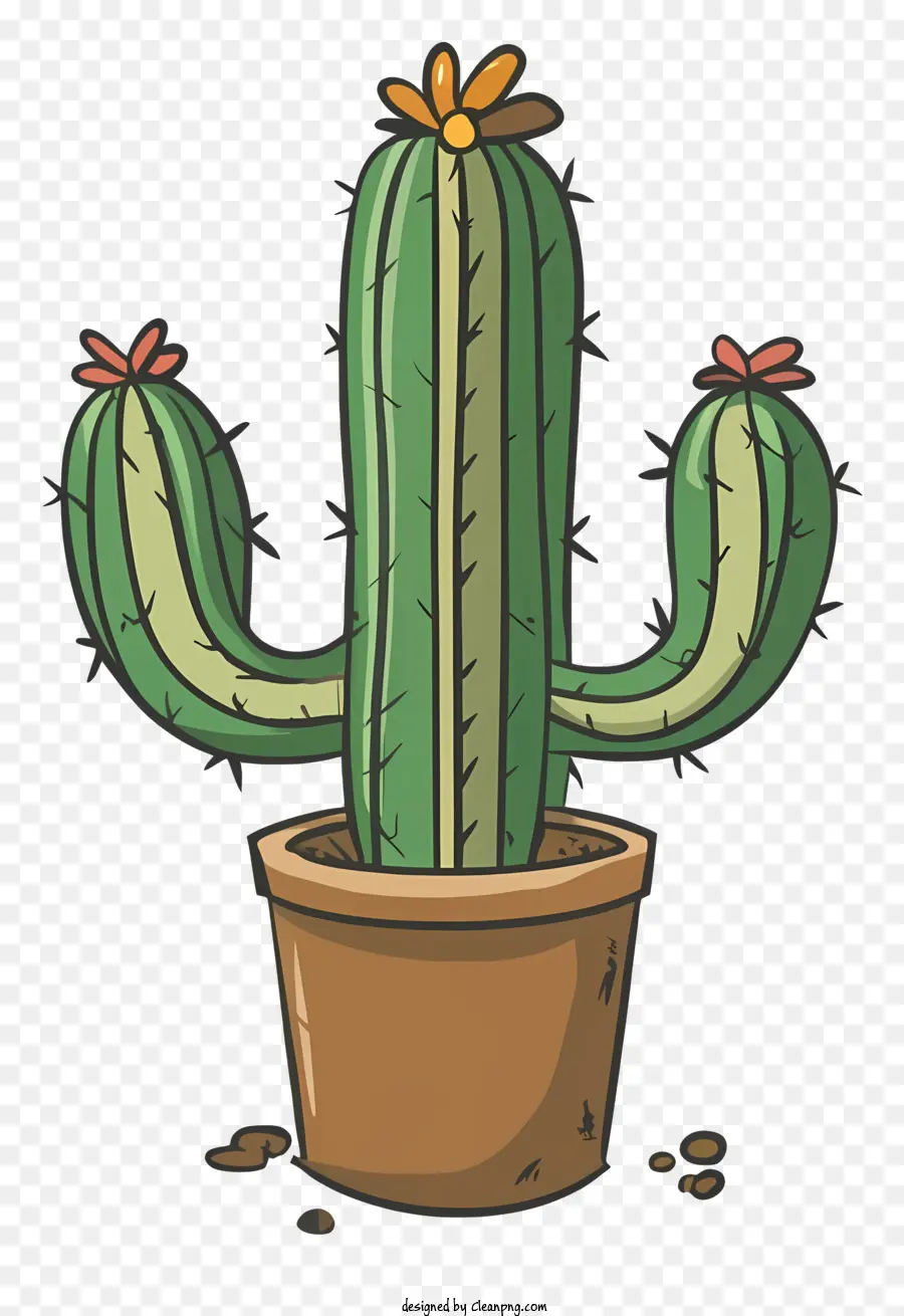 Dessin Animé，Cactus PNG