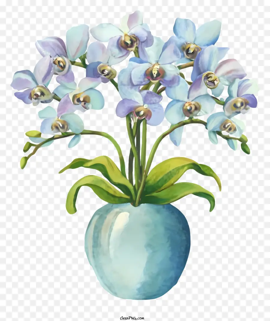 Dessin Animé，Vase à Fleurs PNG