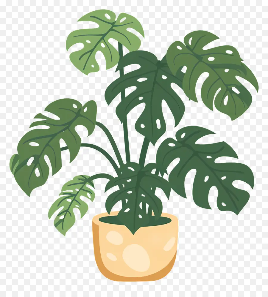 Fromagerie Suisse，Plante En Pot PNG