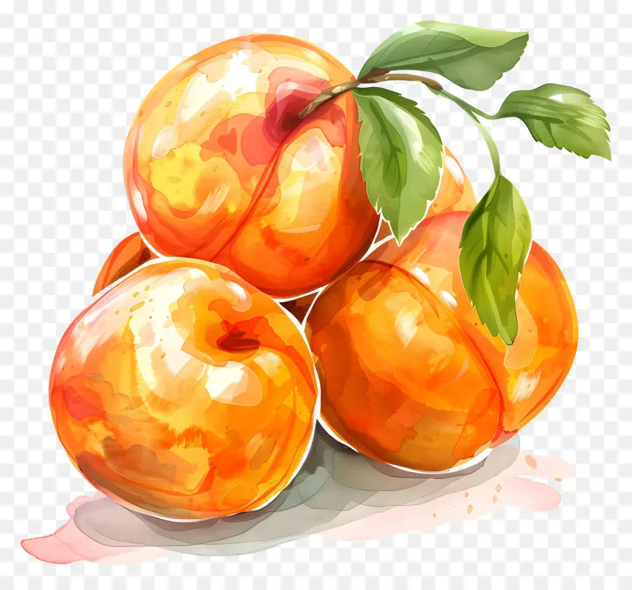 Abricots，Pêches PNG