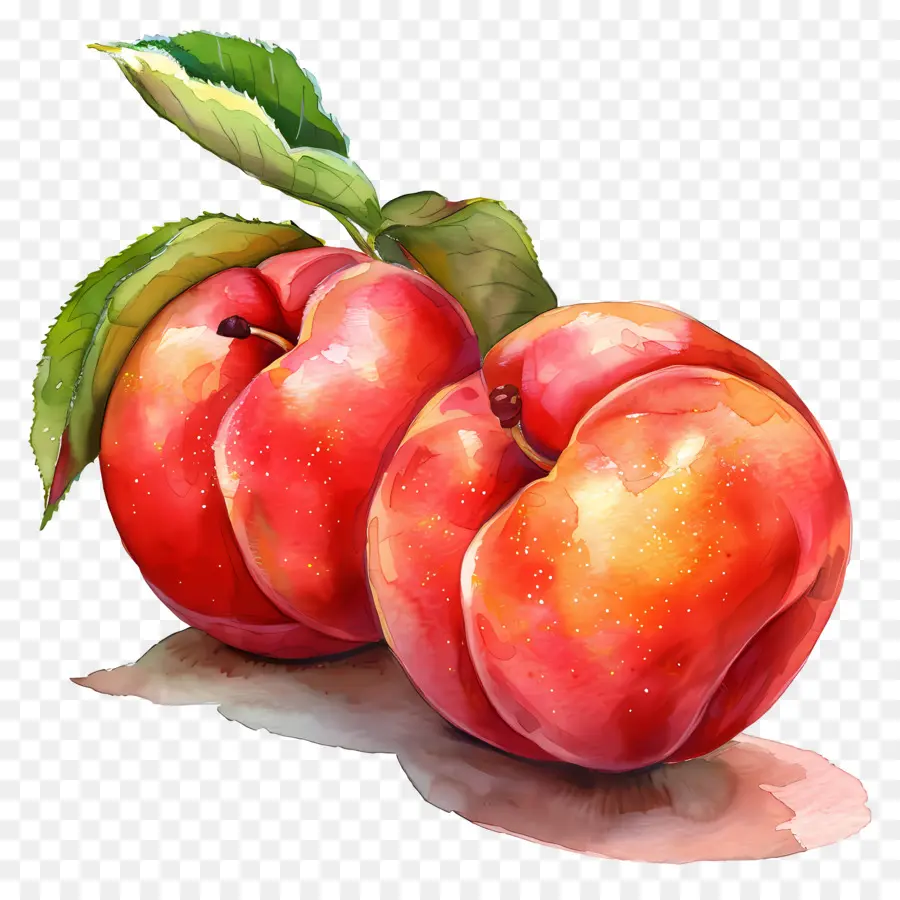 Nectarines，Pêches PNG