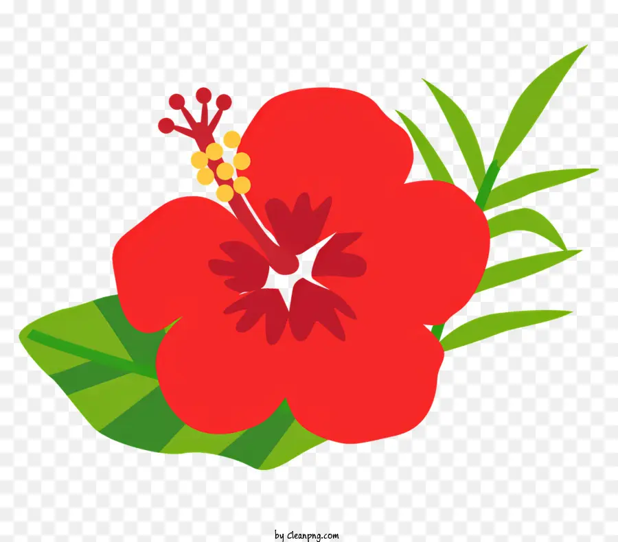 Icône，Fleurs Colorées PNG