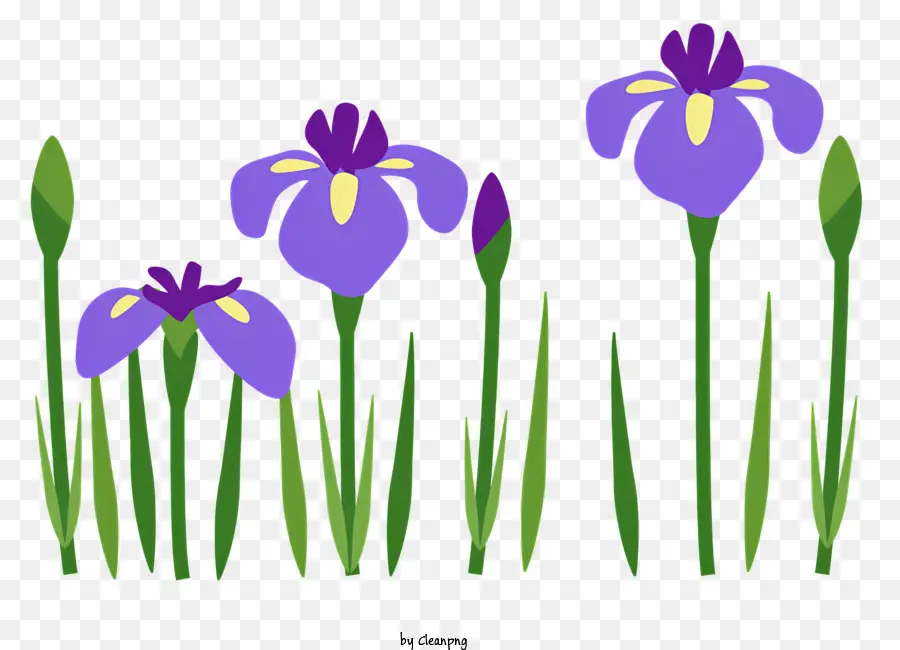 Icône，Fleurs Violettes PNG