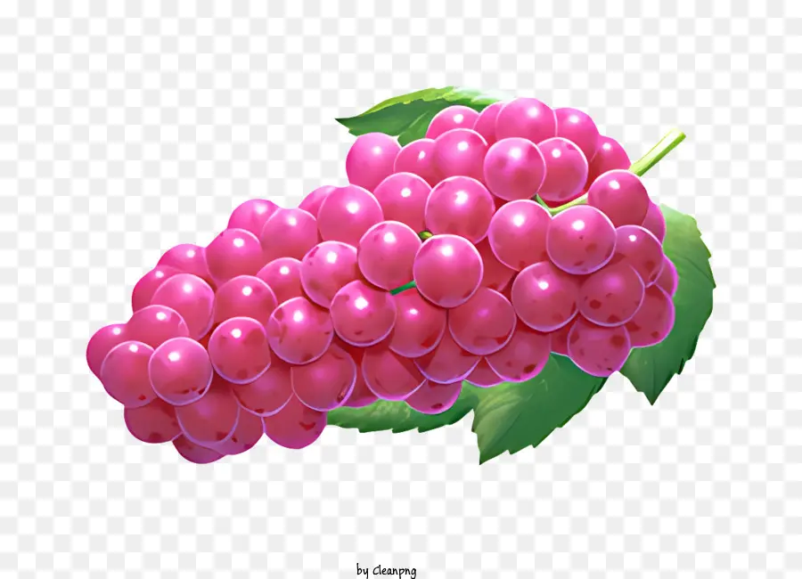 Fruit，Raisins PNG