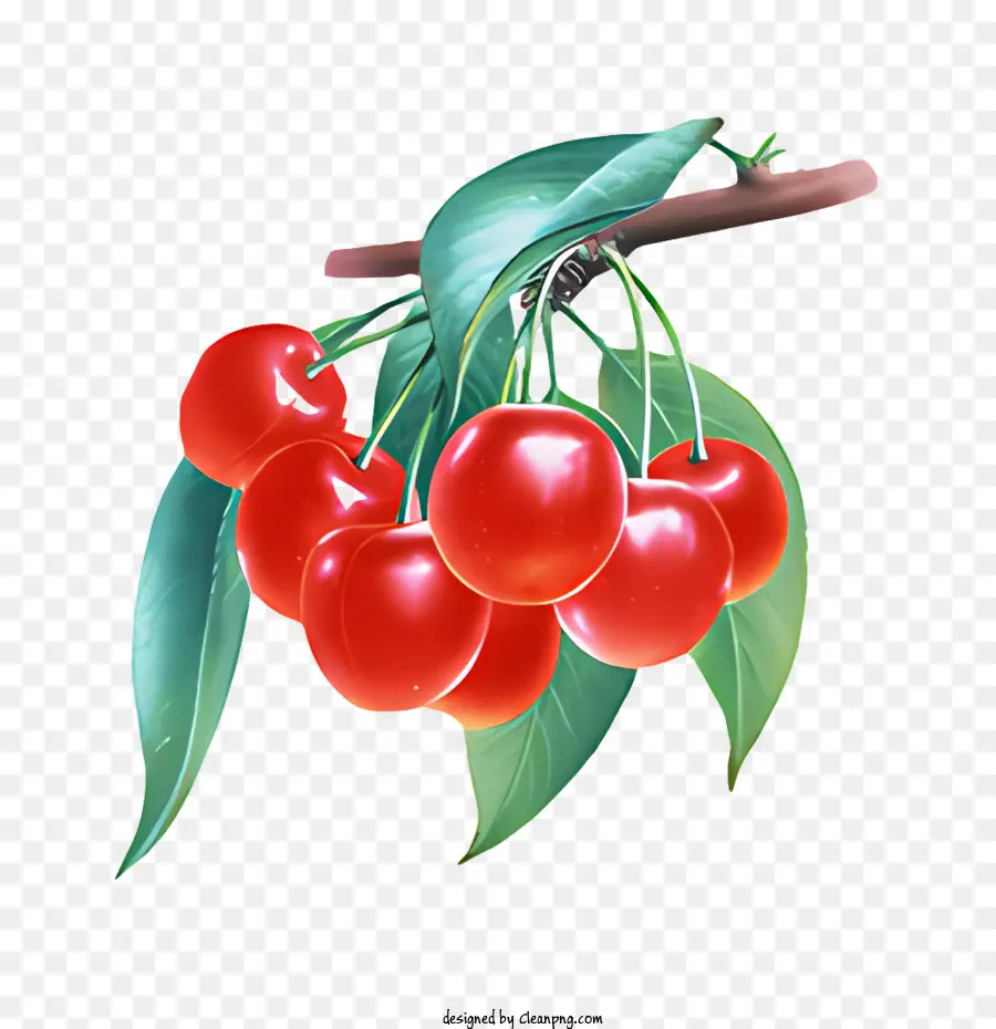 Fruit，Cerises PNG