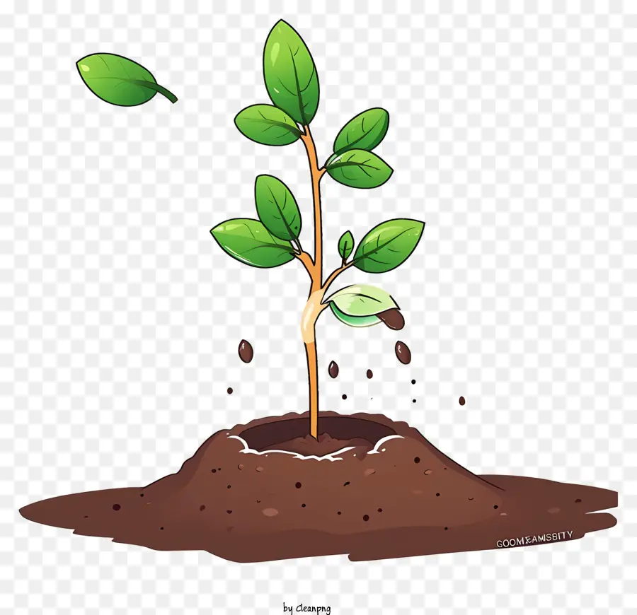 Arbre De Plantation De Dessin Animé，Plantes à Germer PNG