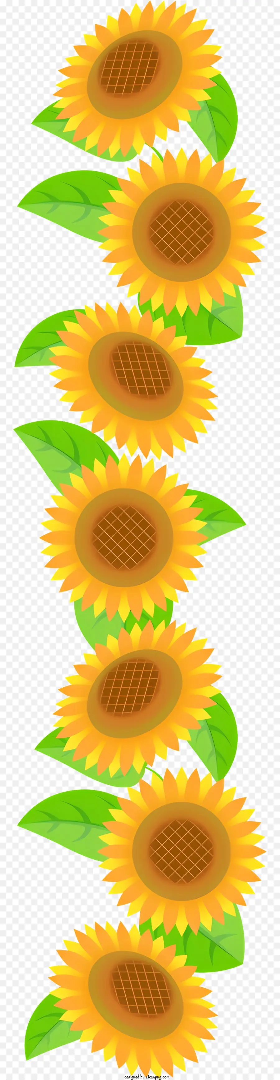 Tournesol，Tournesols PNG