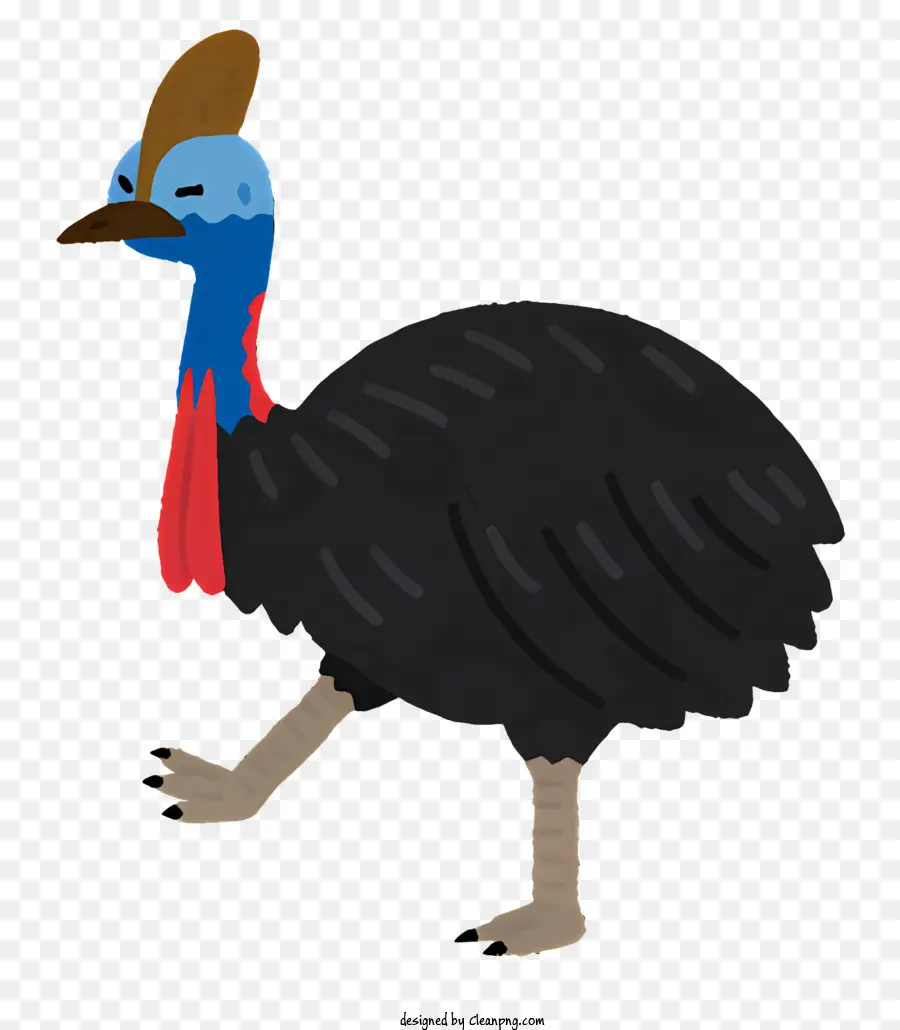 Oiseau，Oiseau De Dessin Animé PNG