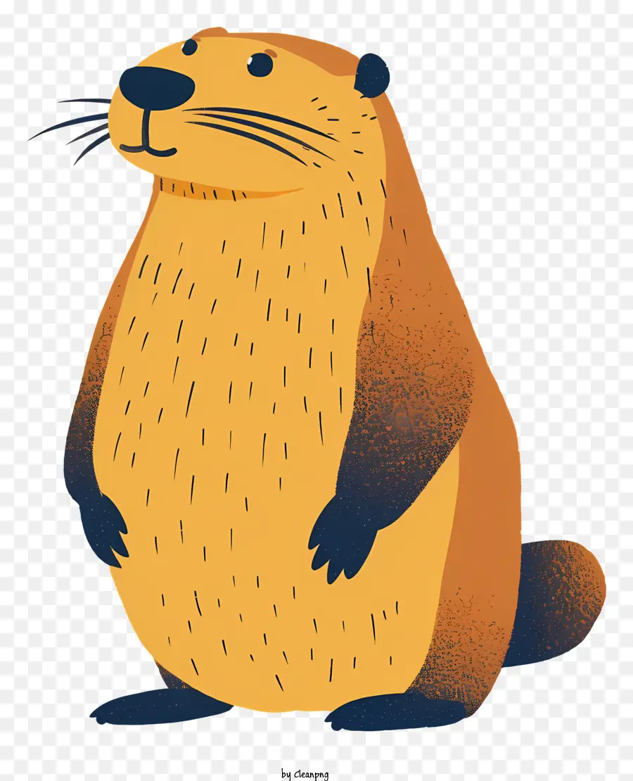 Marmotte De Dessin Animé，Marmotte PNG