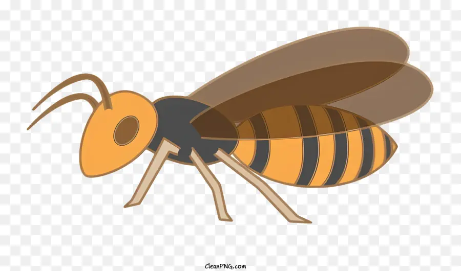 Abeille，Miel PNG