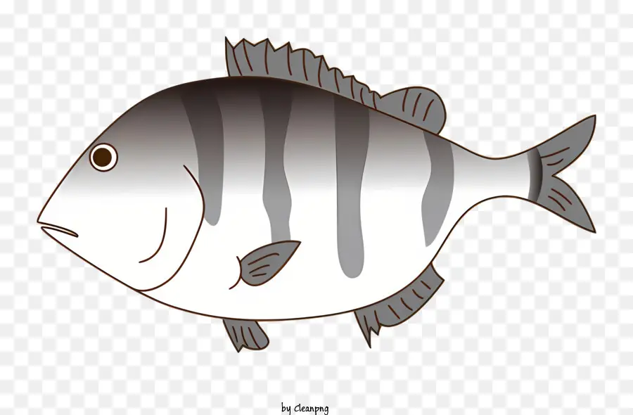 Poisson，Rayures PNG