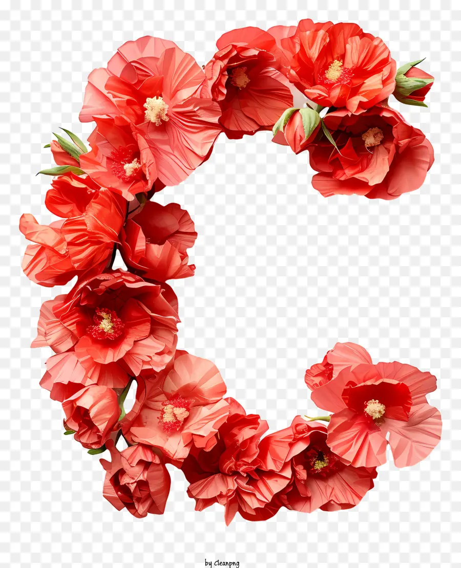 Lettre Florale C，Lettre De Fleur C PNG