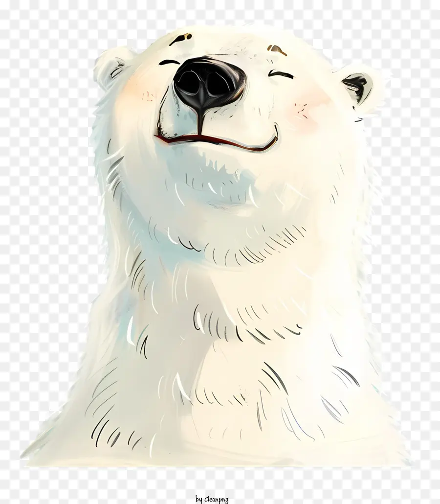 Journée Internationale De L'ours Polaire，Ours Blanc PNG