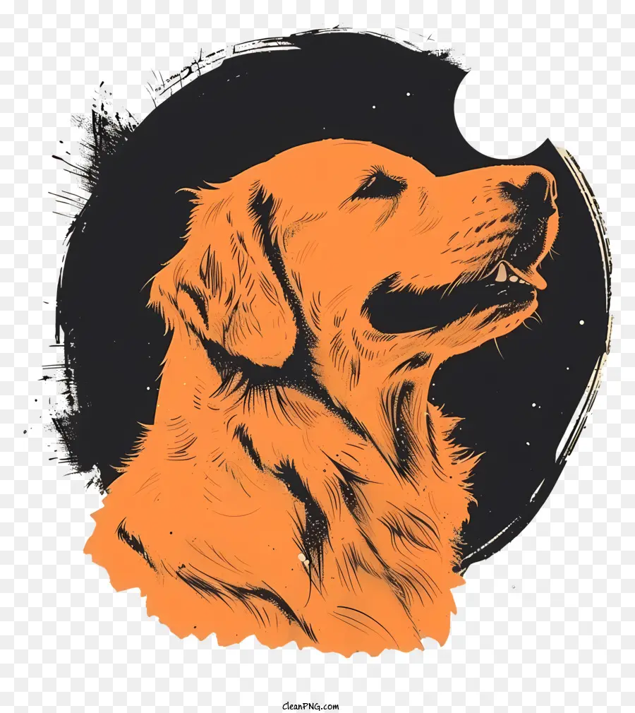 Golden Retriever，Chien PNG