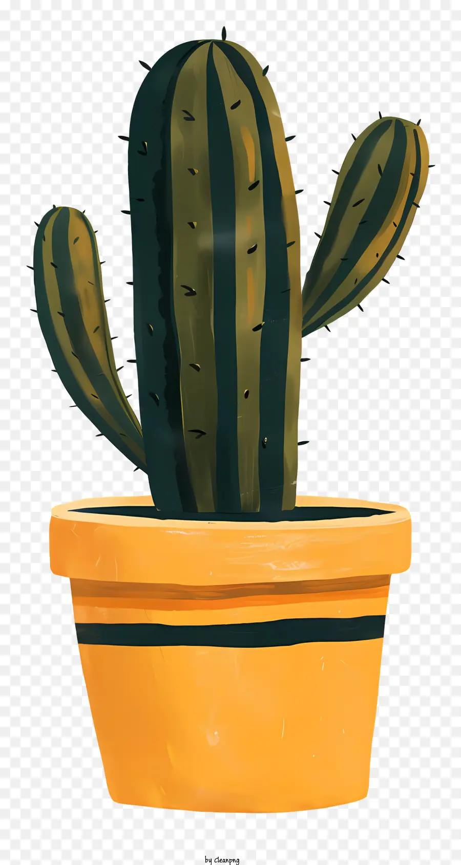 Terre Cuite，Cactus PNG