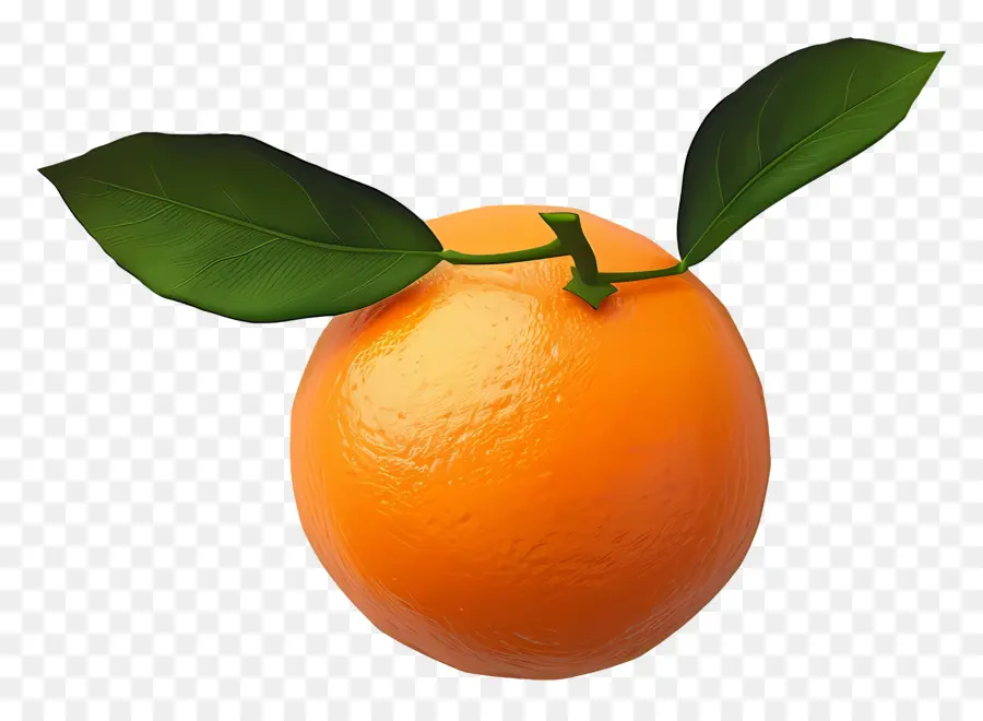 Tangerine，Orange PNG