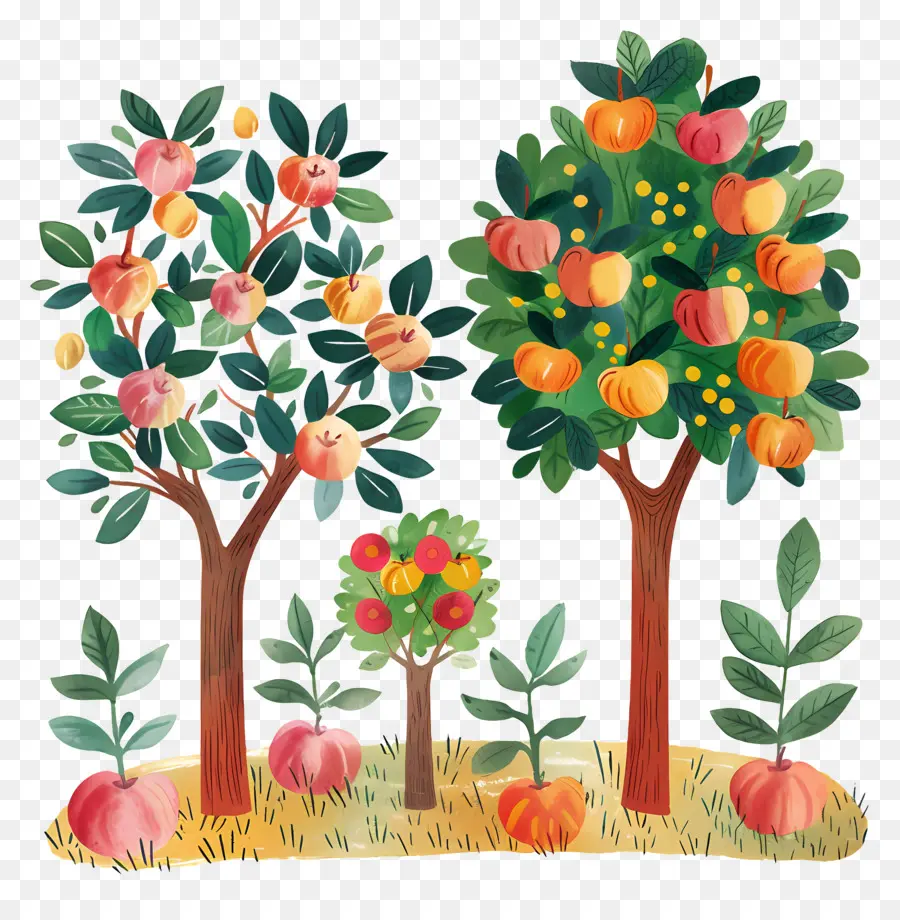 Verger，Arbres Fruitiers PNG