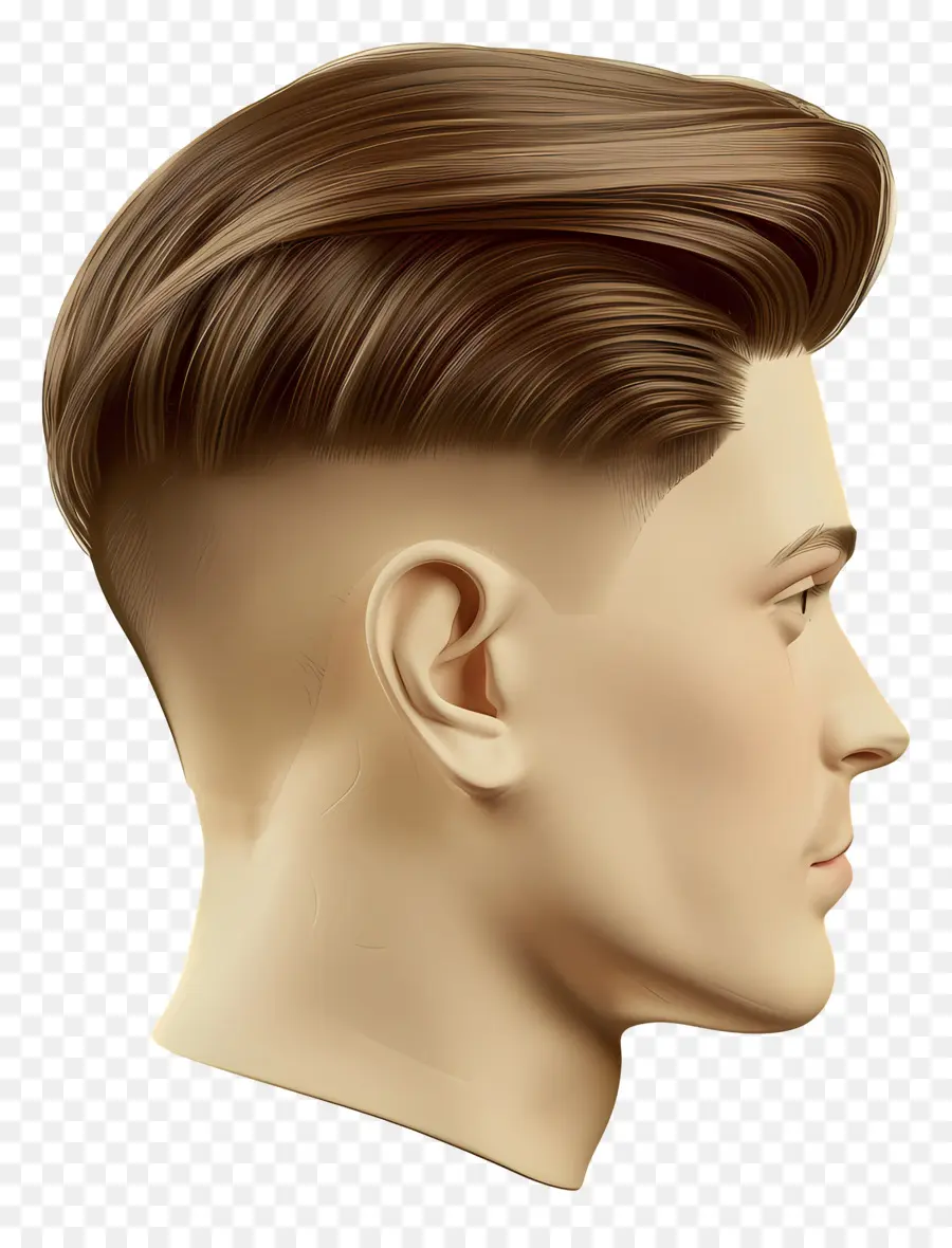 Coupe De Cheveux Mi Décolorée，Profil Latéral PNG