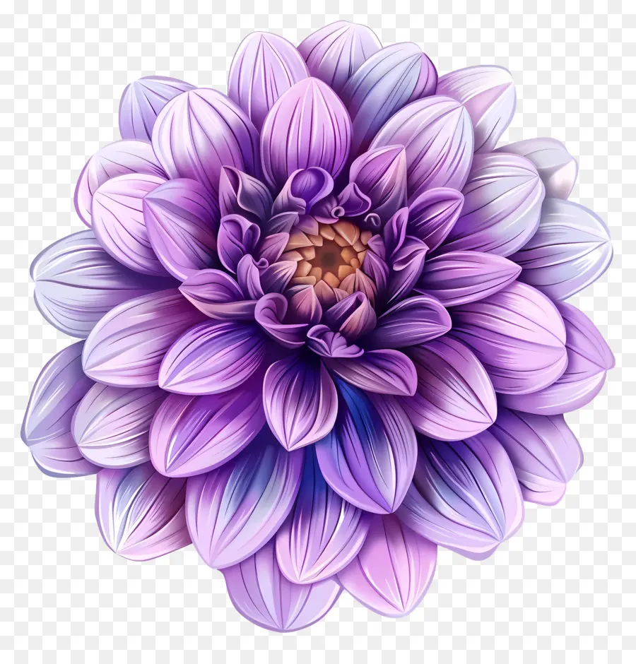 Fleur De Dahlia Violet，Fleur PNG