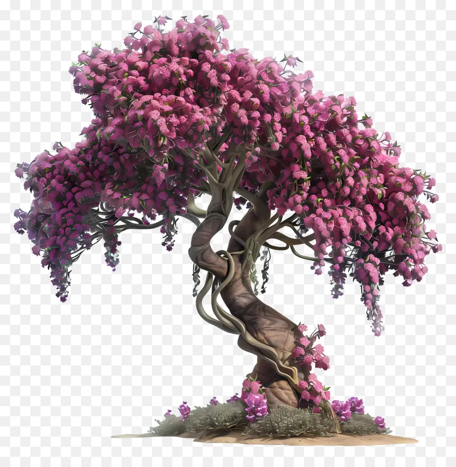 Arbre De Judée，Arbre Rose PNG