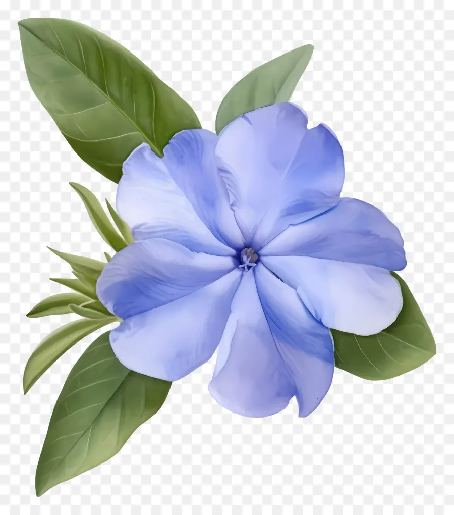 Fleur D'haleine De Bébé，Fleur Bleue PNG